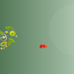 Organic & healthy choices for your family